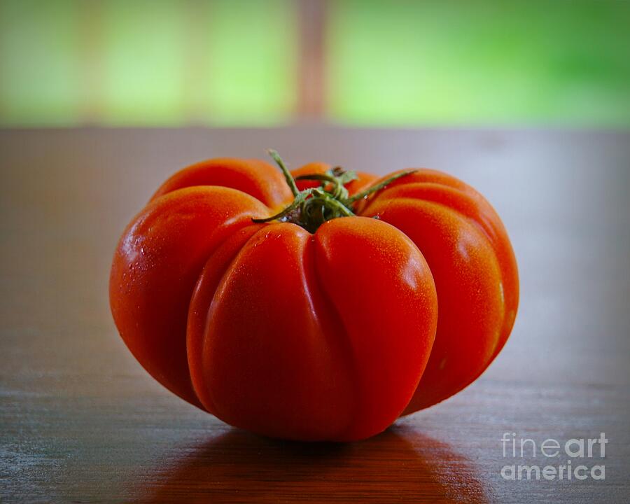 Tomato Tomahto Photograph by Patricia Strand
