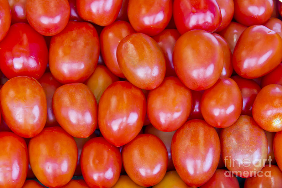 Tomatoes 1 Photograph by David Doucot