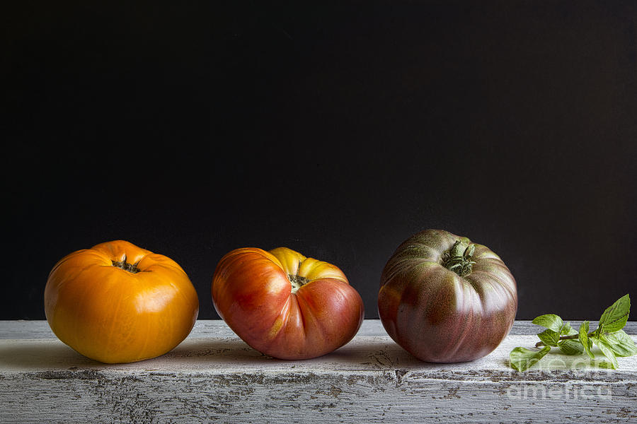 Tomato Photograph - Tomatoes And Basil by Elena Nosyreva