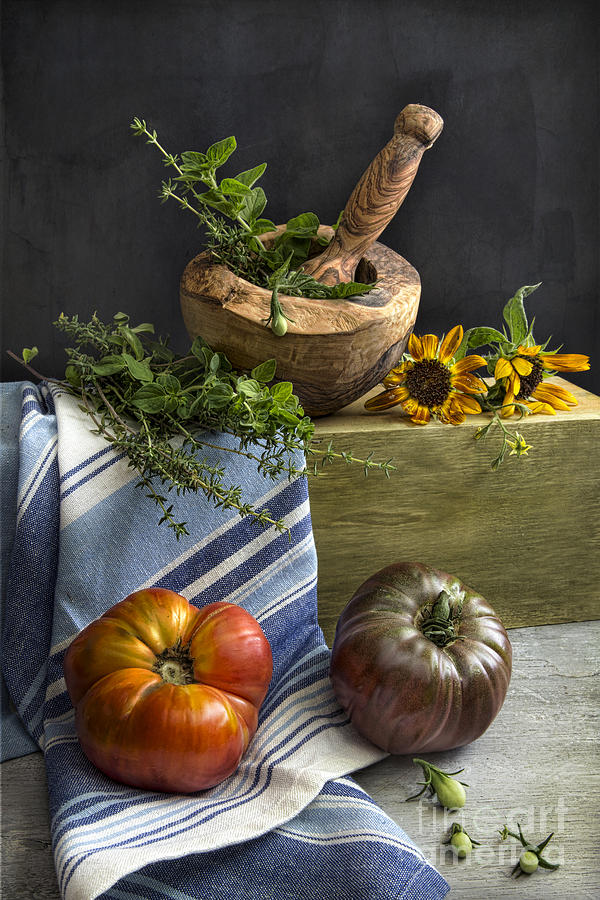 Tomato Photograph - Tomatoes and herbs by Elena Nosyreva