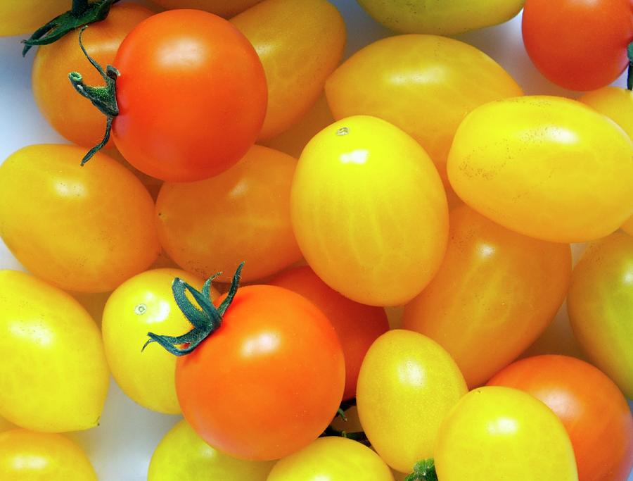 Tomatoes ildi And orange Paruche Photograph by Ian Gowland