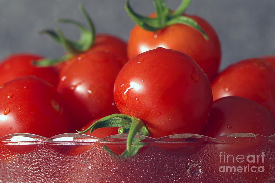 Tomatoes in a Bowl Photograph by Sharon Talson