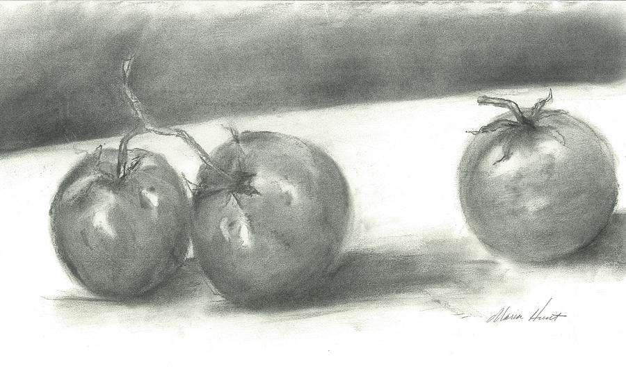 Tomatoes in Charcoal Painting by Maria Hunt