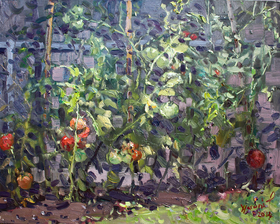 Tomato Painting - Tomatoes in Violas Garden  by Ylli Haruni
