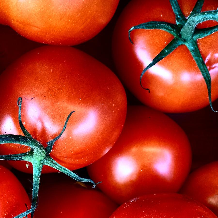 Tomatoes Photograph by Jason Roust