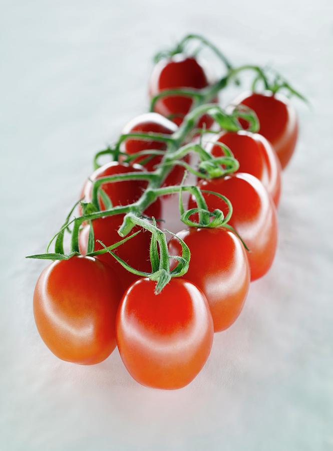 Tomatoes On The Vine Photograph by Patrick Llewelyn-davies/science Photo Library
