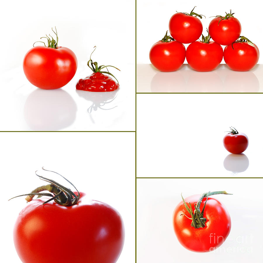 Vegetable Photograph - Tomatoes on White by Sabine Jacobs