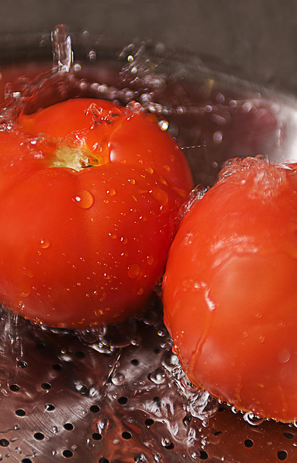 Tomatoes Photograph by Science Source