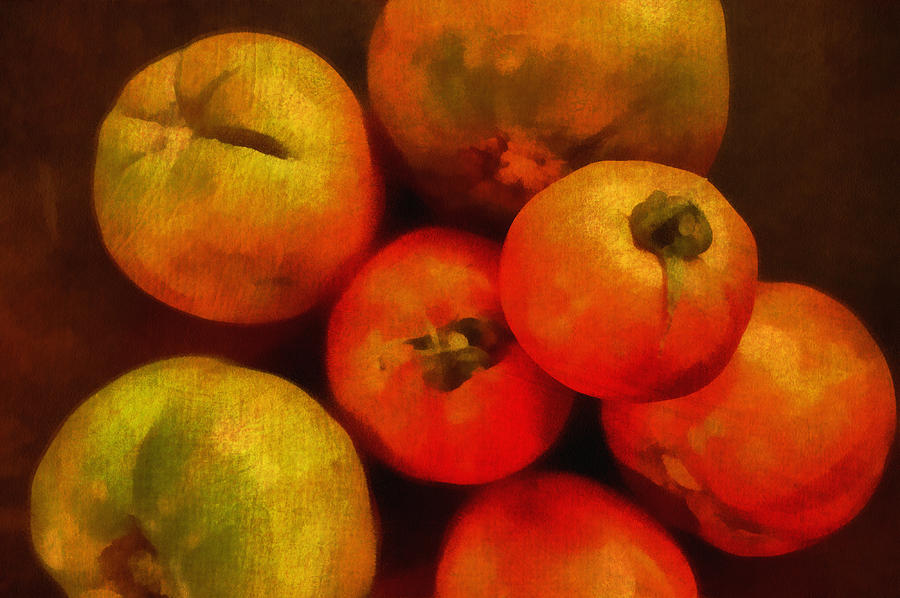 Tomatoes Still Life Digital Art by Ann Powell