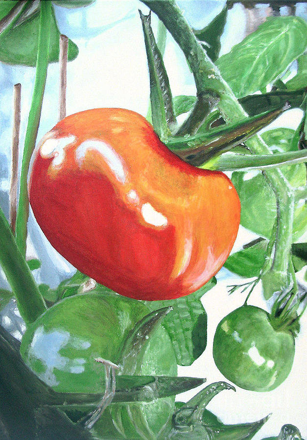 Tomatoes Painting by Ulrike Miesen-Schuermann