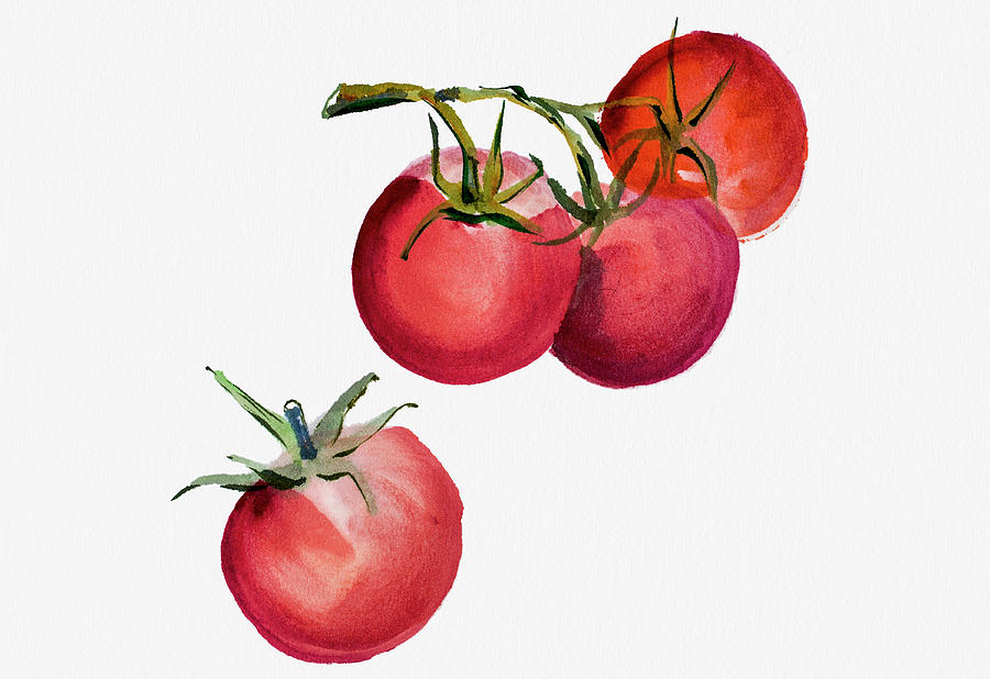 Tomatoes Watercolor Painting Digital Art by Mashuk