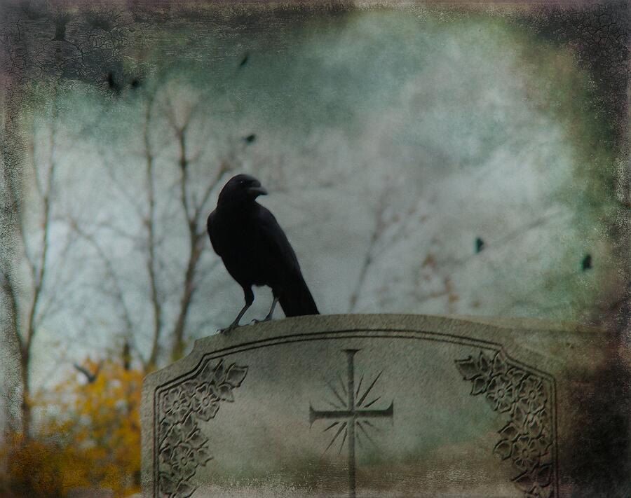 Tombstone Crow Photograph by Gothicrow Images - Fine Art America