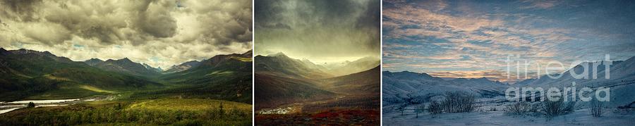 Winter Photograph - Tombstone Range Seasons by Priska Wettstein
