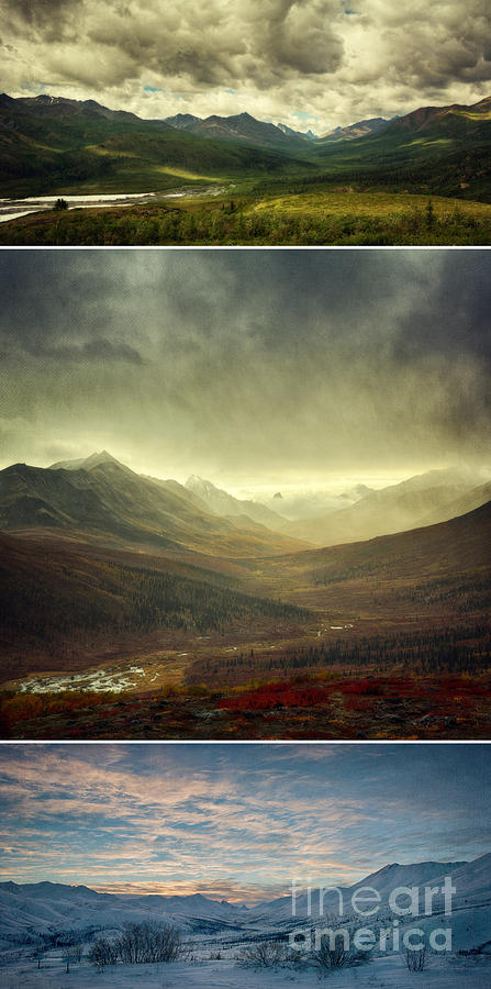 Winter Photograph - Tombstone Range Seasons vertical by Priska Wettstein