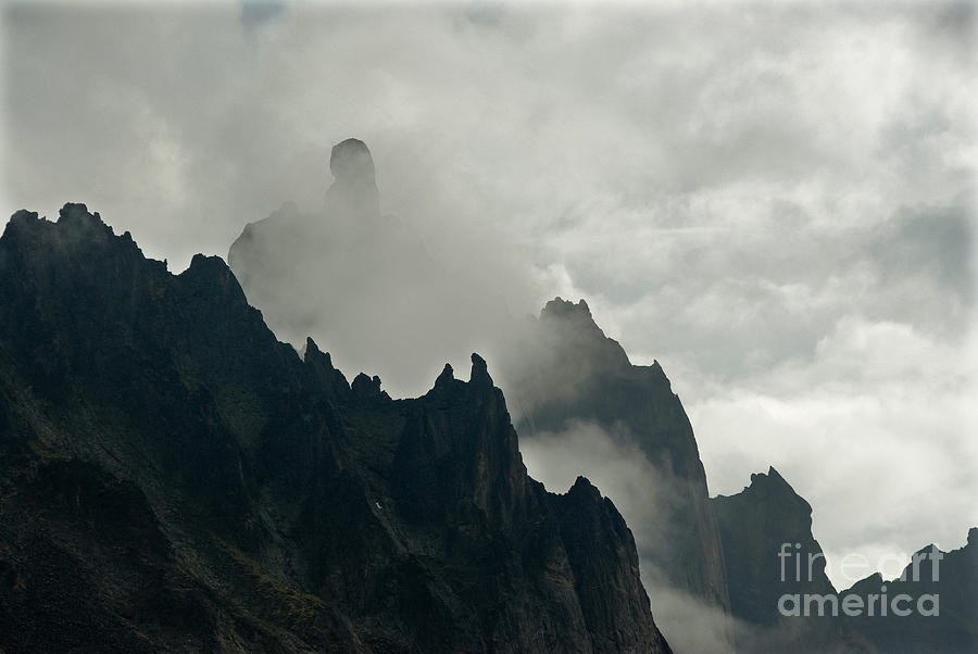 Tombstone Territorial Park Photograph by Mark Newman Tombstone Territorial Park Photograph by Mark Newman