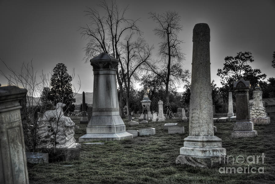 Denver Photograph - Tombstones and Tree Skeletons by Juli Scalzi