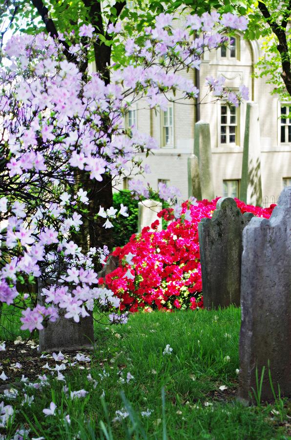 Tombstones in Spring Photograph by Sharon Popek