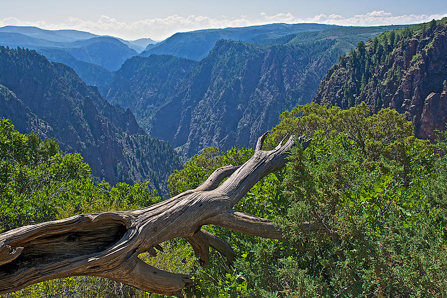 Tomichi Point in Black Canyon of the Gunnison National Park-Colorado Photograph by Ruth Hager