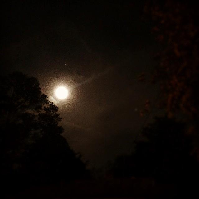 Tonights Full Moon Photograph by Shari Malin
