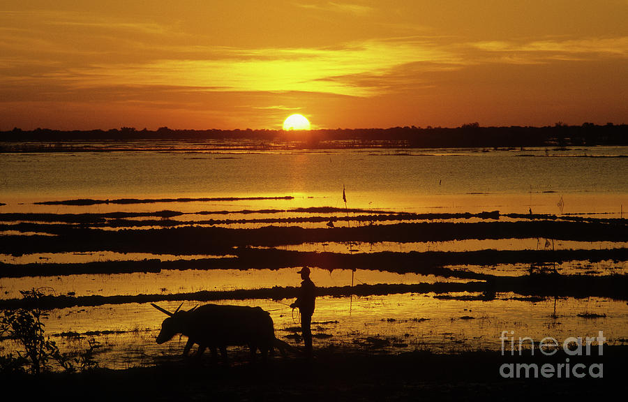 Tonle Sap Sunrise 01 Photograph by Rick Piper Photography
