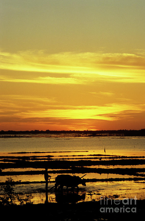 Tonle Sap Sunrise 02 Photograph by Rick Piper Photography