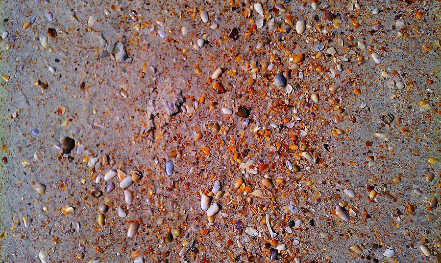 Tons of Tiny Shells Photograph by Fortunate Findings Shirley Dickerson
