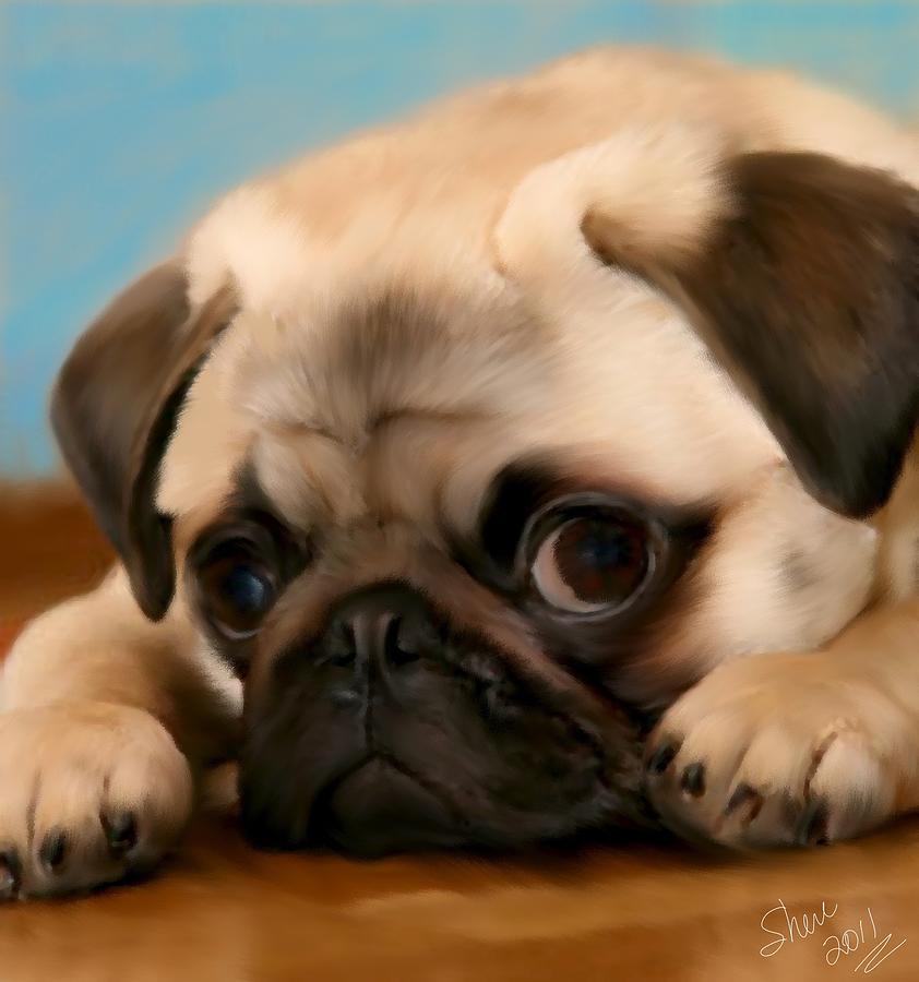 Too Cute Painting by Shere Crossman
