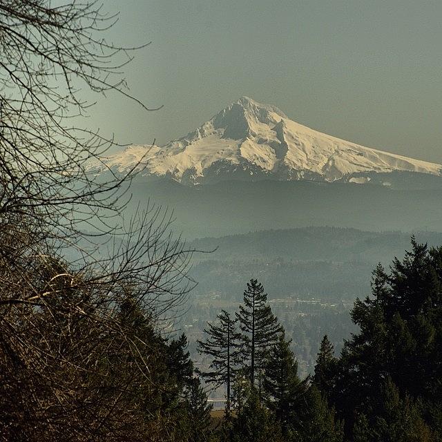 Took This Shot Of Mt. Hood On Photograph by Mike Warner