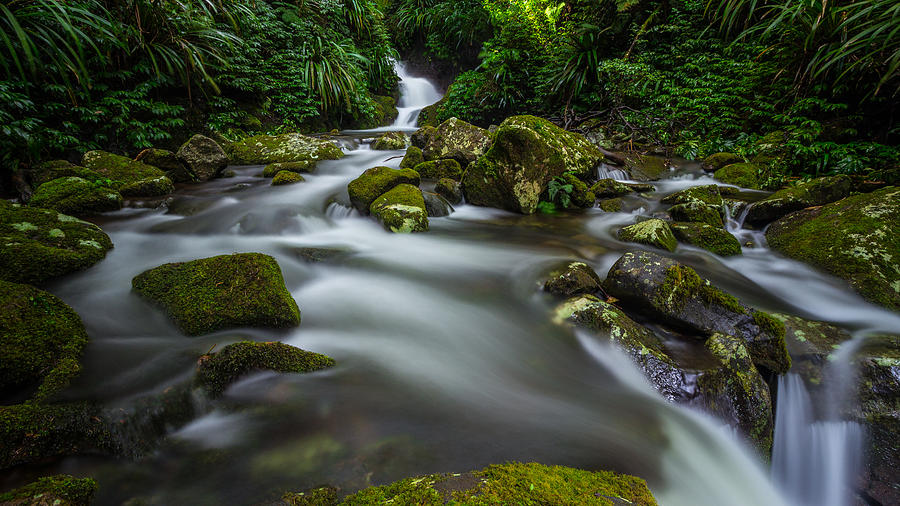 Tooloona Circuit Photograph by Gareth Mcguigan | Fine Art America