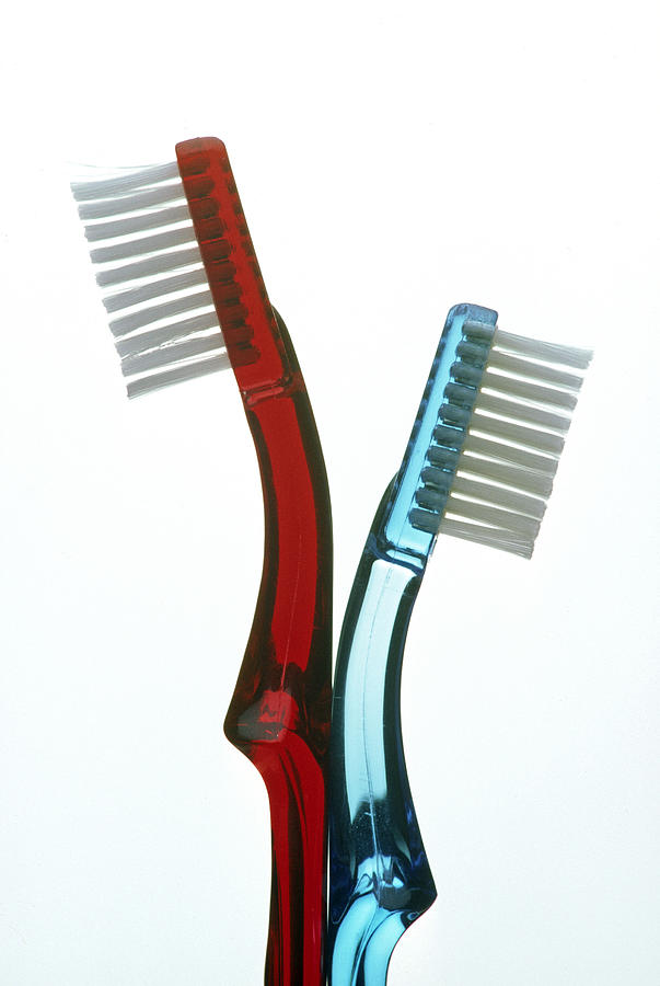 Toothbrush Couple Photograph by Claudio Bacinello