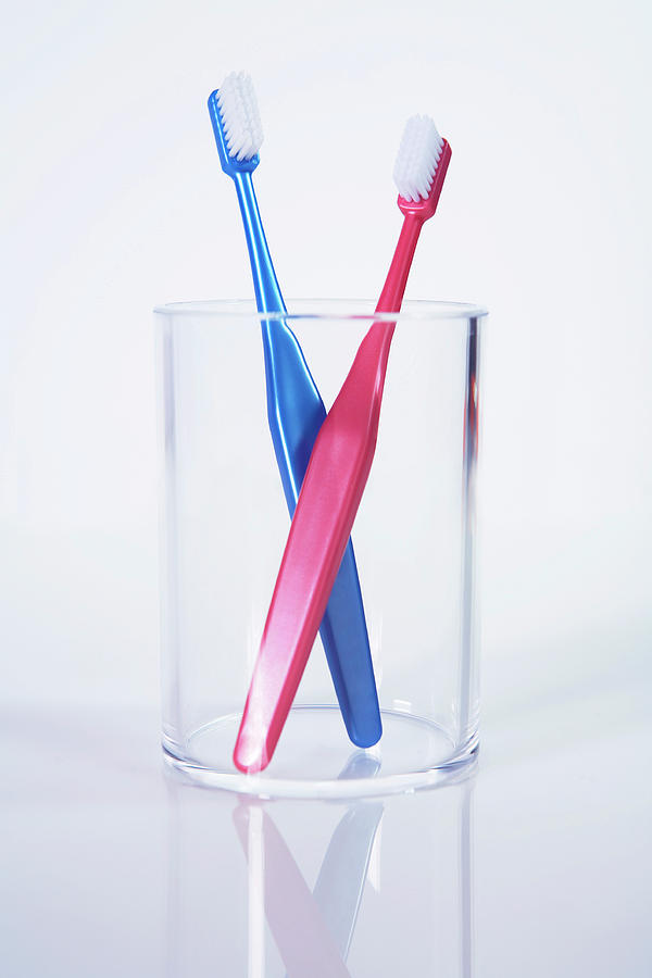 Toothbrushes Photograph by Kate Jacobs/science Photo Library