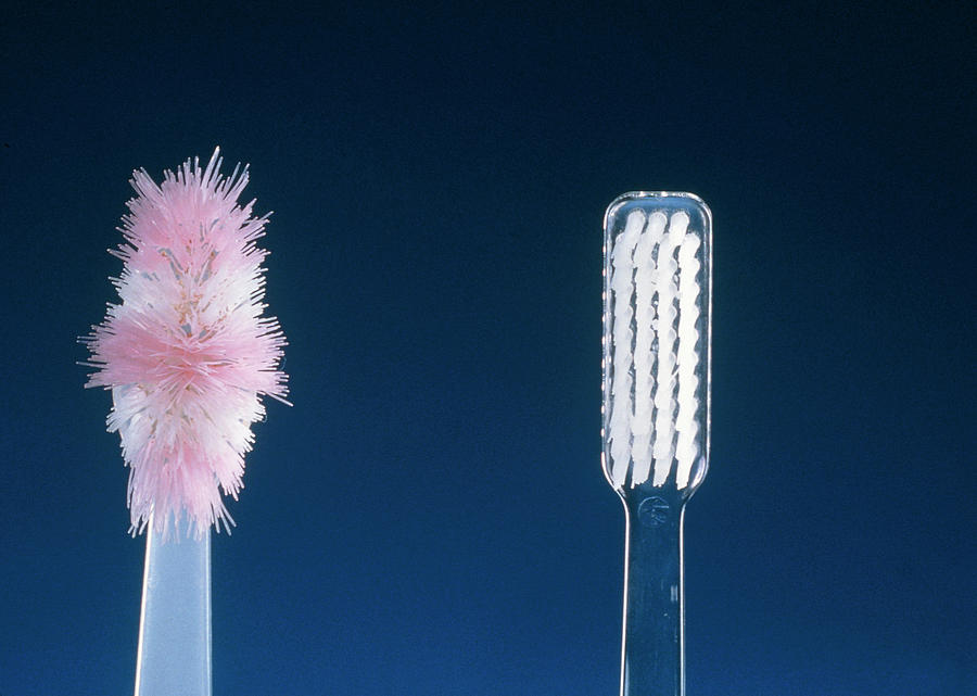Toothbrushes Photograph by Mike Devlin/science Photo Library