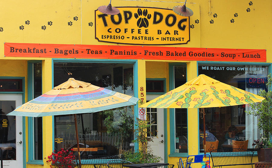 Top Dog Coffee Bar Photograph By Kris Hiemstra
