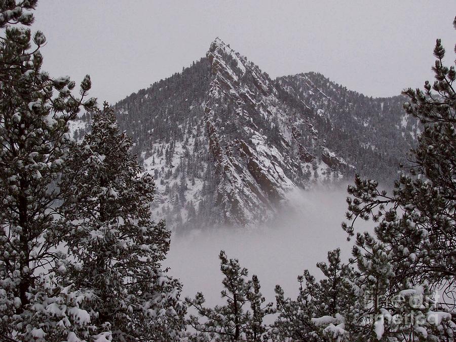 Mountain Photograph - Top of Bear Peak Mountain above the Fog by Daniel Larsen