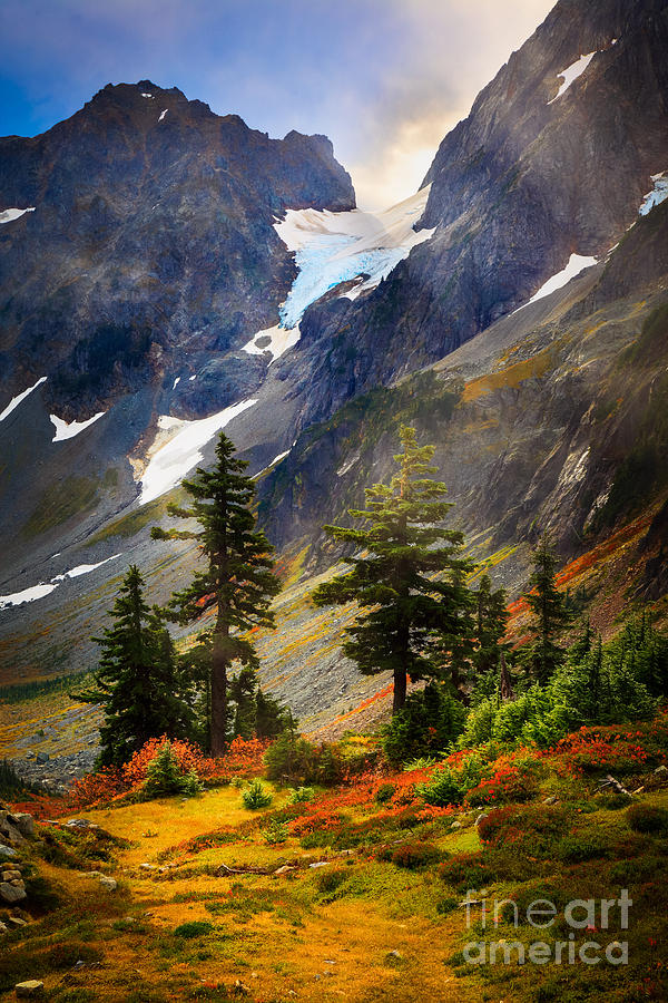 Blueberry Photograph - Top of Cascade Pass by Inge Johnsson