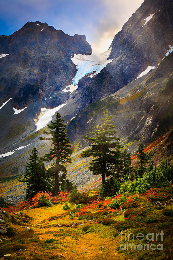 Top of Cascade Pass Photograph by Inge Johnsson