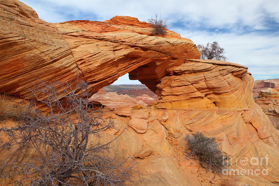 Top Rock Arch Photograph by Bill Singleton