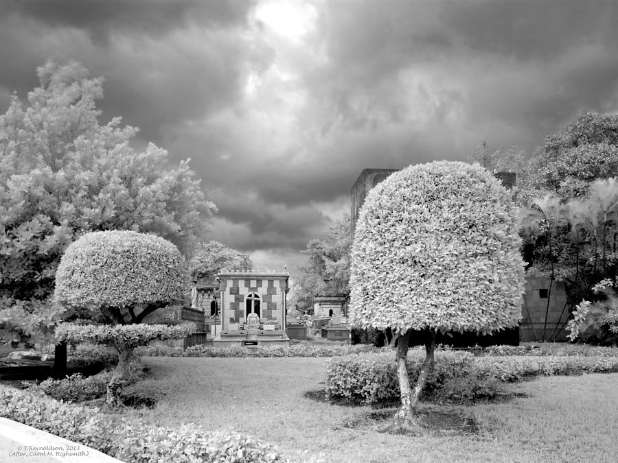Black And White Photograph - Topiary by Terry Reynoldson