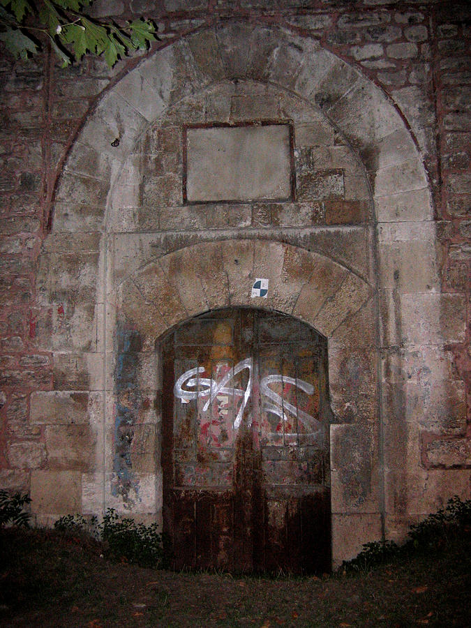 Topkapi Palace outer door  graffiti Photograph by David Thomas Jones