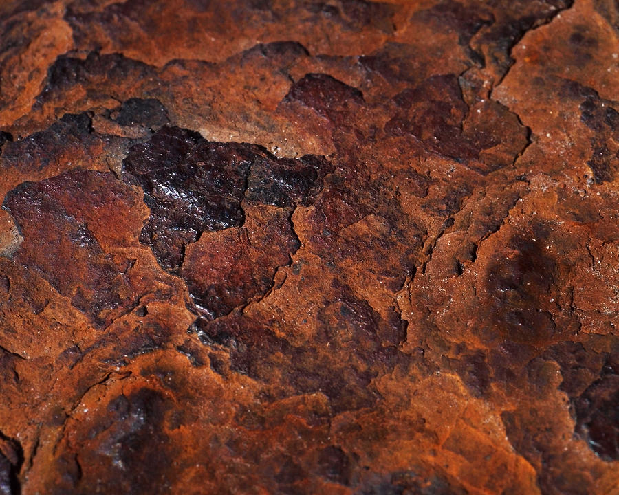 Topography of Rust Photograph by Rona Black
