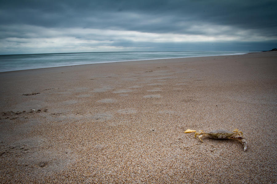 Beach Photograph - Topsail Island  by Shane Holsclaw