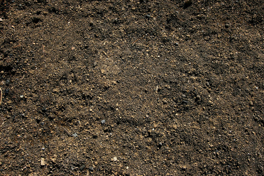 Topsoil background Photograph by Okrad
