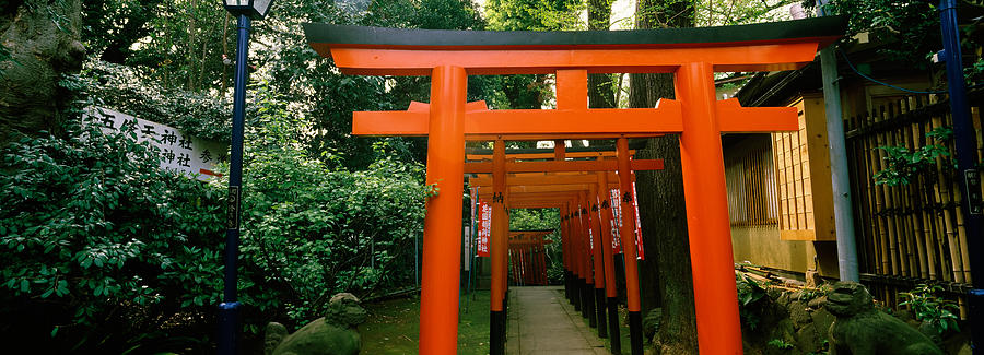 Nature Photograph - Torii Gates In A Park, Ueno Park by Panoramic Images