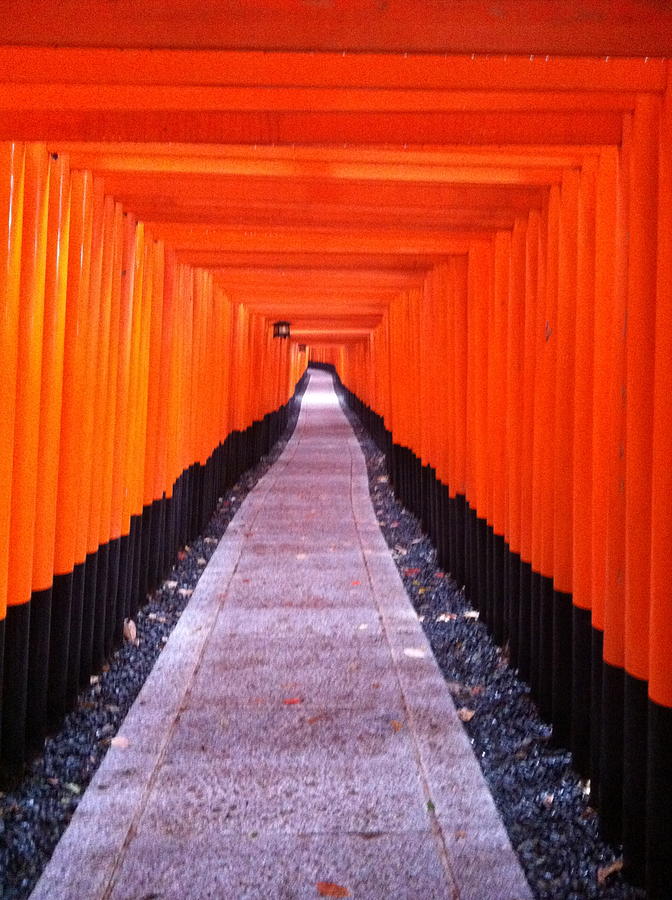Torii Gates in Fushimi-Inari Japan Photograph by Angela Bushman