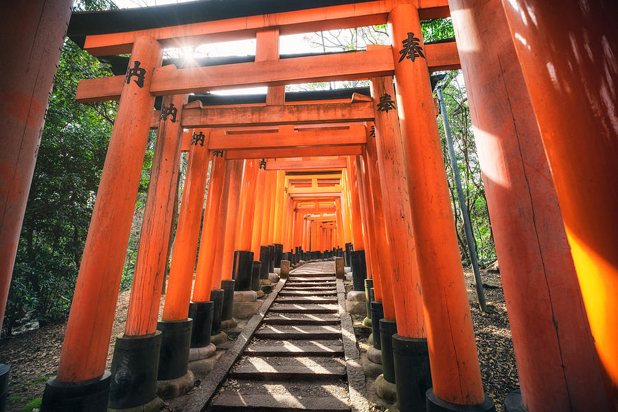 Torii gates in Fushimi Inari Shrine, Kyoto, Japan Photograph by Eloi_Omella