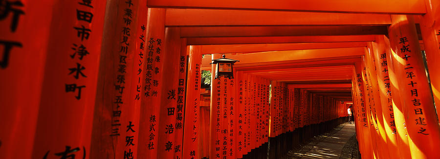 Architecture Photograph - Torii Gates Of A Shrine, Fushimi by Panoramic Images