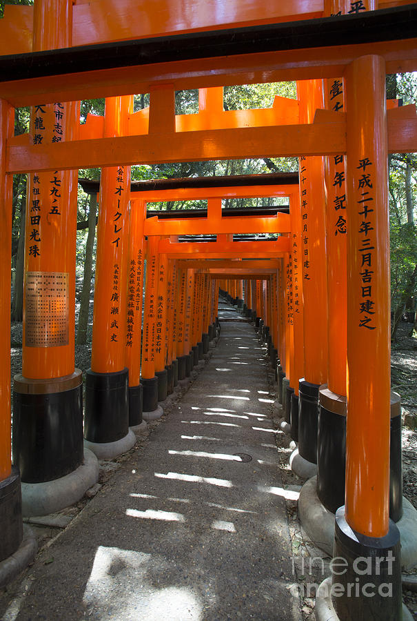 Torii gates of Inari Shrine Photograph by David Bearden