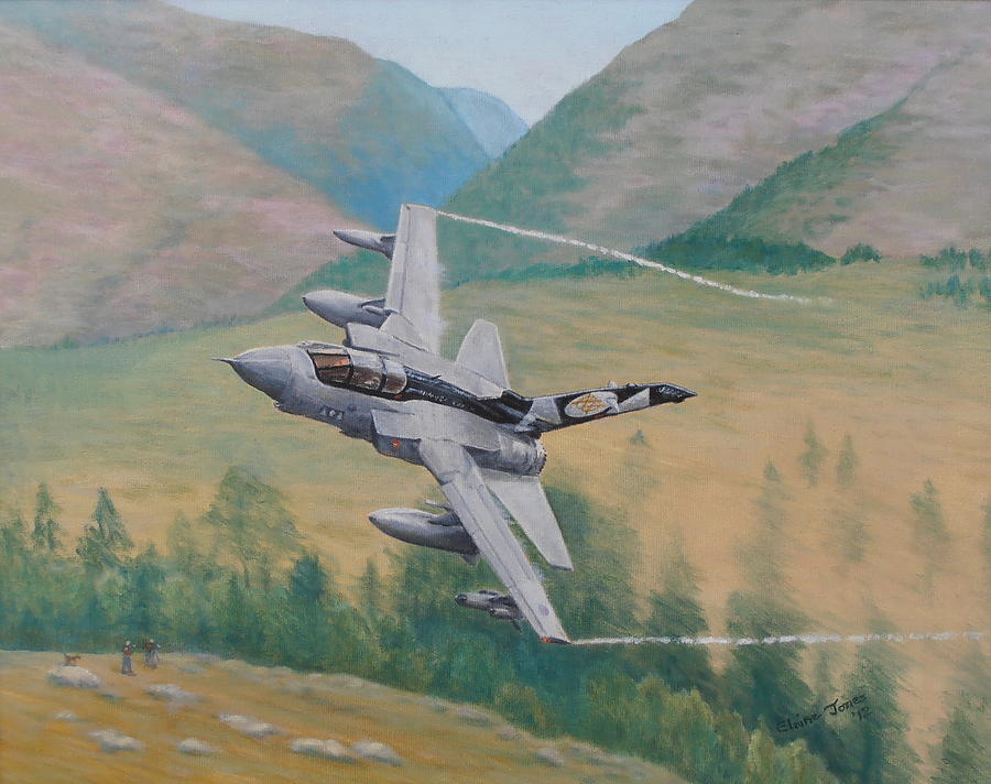 Airplane Painting - Tornado GR4 - Shiny Two Flying Low by Elaine Jones