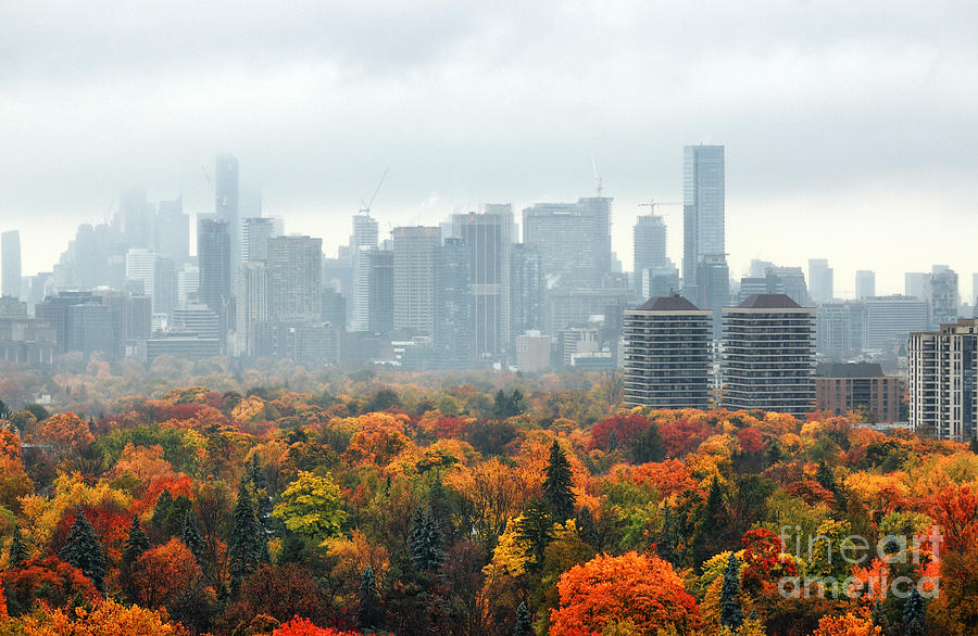 Toronto Autumn 2014 Photograph by Charline Xia
