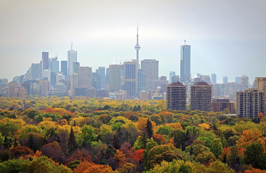 Toronto Autumn Cityscape by Orchidpoet